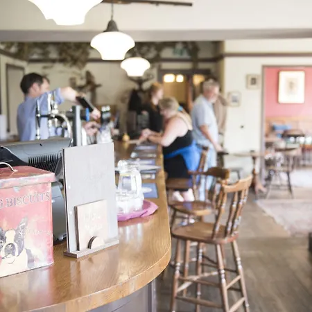 The Cuckoo Brow 4*