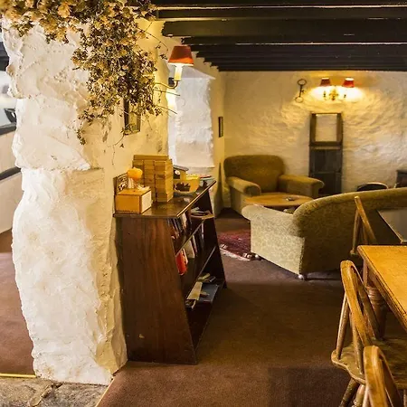 The Cuckoo Brow 4*