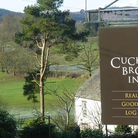 The Cuckoo Brow