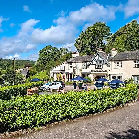 The Cuckoo Brow 4*