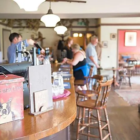 The Cuckoo Brow 4*