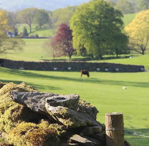 Herberg The Cuckoo Brow