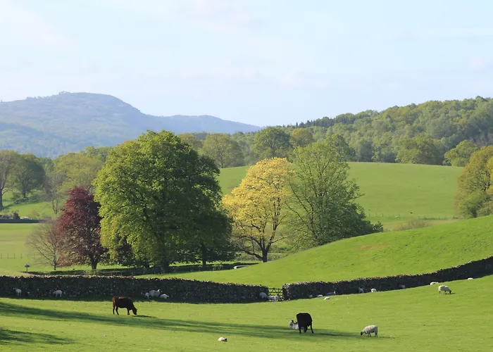 The Cuckoo Brow Herberg 4*