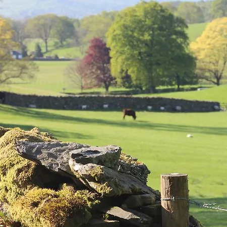 Mini-hôtel The Cuckoo Brow